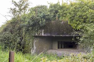 Ligne Maginot - B529 - BOIS DE LA FERRIERE SUD - (Blockhaus pour canon) - 