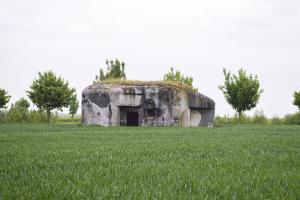 Ligne Maginot - B535 - BOIS-CRETE - (Blockhaus pour canon) - 