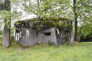Ligne Maginot - B536 - LA TOURNICHETTE - (Blockhaus pour canon) - 
