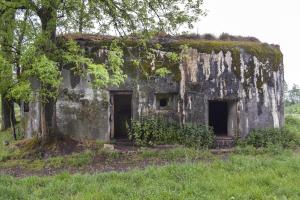 Ligne Maginot - B536 - LA TOURNICHETTE - (Blockhaus pour canon) - 