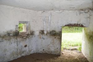 Ligne Maginot - B536 - LA TOURNICHETTE - (Blockhaus pour canon) - 