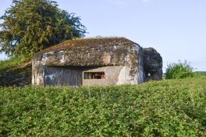 Ligne Maginot - B541 - PERCHE ROMPUE - (Blockhaus pour canon) - 