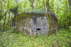 Ligne Maginot - B599 - BOIS DES ECOLIERS OUEST - (Blockhaus pour canon) - 