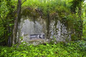 Ligne Maginot - B599 - BOIS DES ECOLIERS OUEST - (Blockhaus pour canon) - 