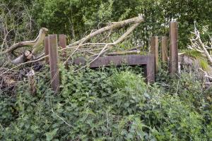 Ligne Maginot - BEF 367 - BOIS NOTRE-DAME - (Blockhaus pour canon) - 