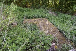 Ligne Maginot - BEF 367 - BOIS NOTRE-DAME - (Blockhaus pour canon) - 