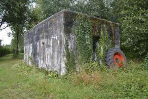 Ligne Maginot - BEF 384 - BOIS DE VARLET - (Abri) - 