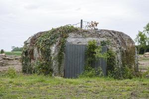 Ligne Maginot - BEF 385 - BOIS DE BERCU - (Blockhaus pour arme infanterie) - 