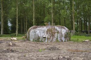 Ligne Maginot - BEF 385 - BOIS DE BERCU - (Blockhaus pour arme infanterie) - 