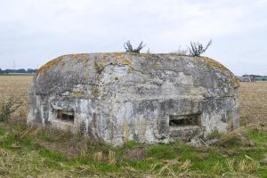 Ligne Maginot - BEF 320 - CHAPELLE AUX ARBRES 2 - (Blockhaus pour arme infanterie) - 