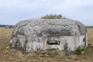 Ligne Maginot - BEF 321 - CHAPELLE aux ARBRES 4 (Blockhaus pour arme infanterie) - 