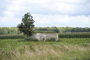 Ligne Maginot - BEF 571A - CRINQUET EST 1 - (Blockhaus pour arme infanterie) - 