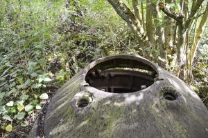 Ligne Maginot - T7 - BOIS DE LA TASSONNIERE OUEST (TD N° 363) - (Cuve pour arme d'infanterie) - 