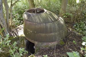 Ligne Maginot - T7 - BOIS DE LA TASSONNIERE OUEST (TD N° 363) - (Cuve pour arme d'infanterie) - 