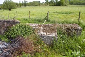 Ligne Maginot - BEF 336 - PRE DE FOURNES - (Blockhaus pour canon) - 