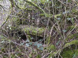 Ligne Maginot - BB1-A - LES TRIEUX NORD - (Blockhaus pour canon) - 
