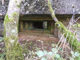 Ligne Maginot - BB1-A - LES TRIEUX NORD - (Blockhaus pour canon) - 