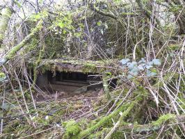 Ligne Maginot - BB1-A - LES TRIEUX NORD - (Blockhaus pour canon) - 