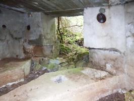 Ligne Maginot - BB1-A - LES TRIEUX NORD - (Blockhaus pour canon) - 