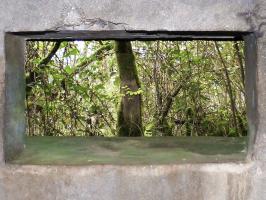 Ligne Maginot - BB1-A - LES TRIEUX NORD - (Blockhaus pour canon) - 