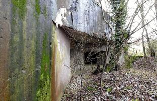 Ligne Maginot - MC11 -  AC7B  - NONNENWALD - (Casemate d'artillerie) - 