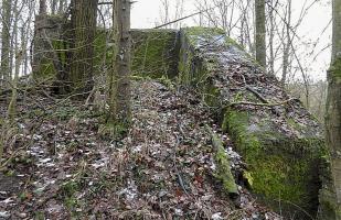 Ligne Maginot - MC11 -  AC7B  - NONNENWALD - (Casemate d'artillerie) - 