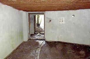 Ligne Maginot - MC11 -  AC7B  - NONNENWALD - (Casemate d'artillerie) - Restes de la circulaire