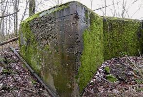 Ligne Maginot - MC11 -  AC7B  - NONNENWALD - (Casemate d'artillerie) - 
