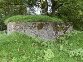 Ligne Maginot - BB15 - TRIEUX DU CHENET - (Blockhaus pour arme infanterie) - 