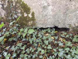 Ligne Maginot - BB26 - MONTIGNY - (Blockhaus pour canon) - 