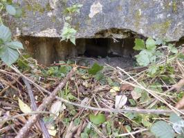 Ligne Maginot - BB27-C - FEPIN SUD - (Blockhaus pour arme infanterie) - 