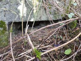 Ligne Maginot - BB27 - LA MENERIE - (Blockhaus pour arme infanterie) - 