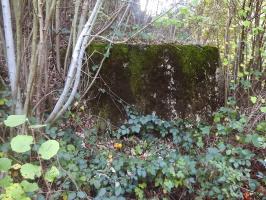 Ligne Maginot - BB29-A - CLOS ROLAND - (Blockhaus pour canon) - 
