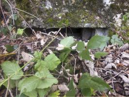 Ligne Maginot - BB29-A - CLOS ROLAND - (Blockhaus pour canon) - 
