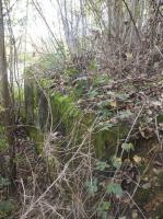 Ligne Maginot - BB29-A - CLOS ROLAND - (Blockhaus pour canon) - 