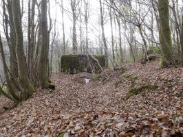 Ligne Maginot - BB29-B - LE CHARNOIS - (Blockhaus pour arme infanterie) - Vestige de tranchée vers l'entrée