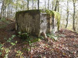Ligne Maginot - BB29-B - LE CHARNOIS - (Blockhaus pour arme infanterie) - 