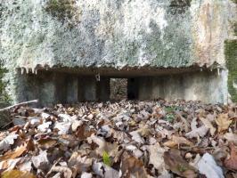 Ligne Maginot - BB29-B - LE CHARNOIS - (Blockhaus pour arme infanterie) - 