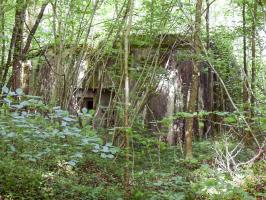 Ligne Maginot - CEZF-10BIS - BOIS DE BELLE-CORRE - (Casemate d'infanterie - Simple) - 
