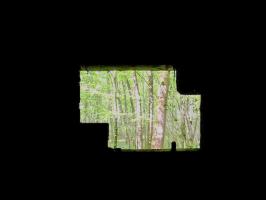 Ligne Maginot - CEZF-10BIS - BOIS DE BELLE-CORRE - (Casemate d'infanterie - Simple) - 