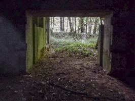 Ligne Maginot - CEZF-10BIS - BOIS DE BELLE-CORRE - (Casemate d'infanterie - Simple) - 