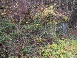 Ligne Maginot - BB31-B - BELLE FLEUR - (Blockhaus pour canon) - 