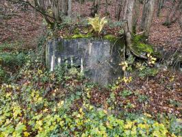 Ligne Maginot - BB31-B - BELLE FLEUR - (Blockhaus pour canon) - 