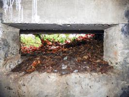 Ligne Maginot - BB31-B - BELLE FLEUR - (Blockhaus pour canon) - 