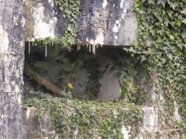Ligne Maginot - BB37-A - DEVANT REVIN - (Blockhaus de type indéterminé) - 
