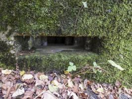 Ligne Maginot - BB40 - LES WEBES - (Blockhaus pour canon) - 
