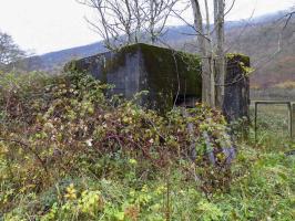 Ligne Maginot - BB44 - ANCHAMPS OUEST - (Blockhaus pour canon) - 