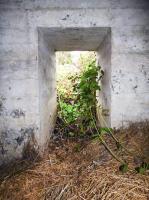 Ligne Maginot - BB44 - ANCHAMPS OUEST - (Blockhaus pour canon) - 