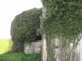 Ligne Maginot - CEZF-14 - POIX-TERRON OUEST - (Casemate d'infanterie - Double) - Face est