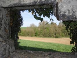 Ligne Maginot - CEZF-14 - POIX-TERRON OUEST - (Casemate d'infanterie - Double) - Vue vers l'est